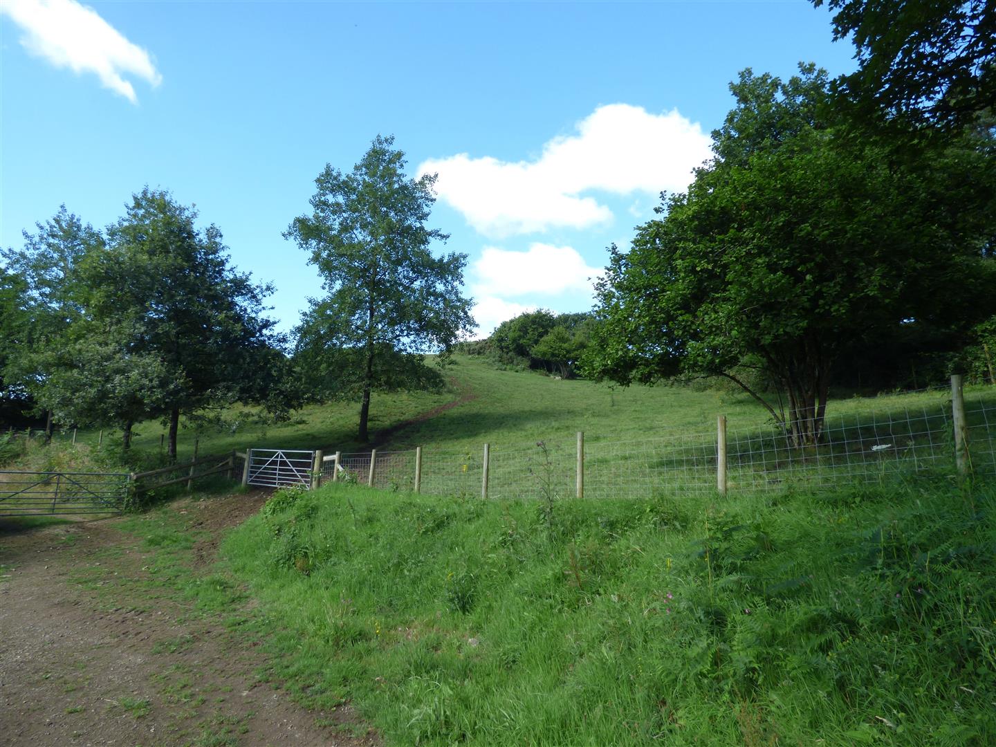 THE LAND